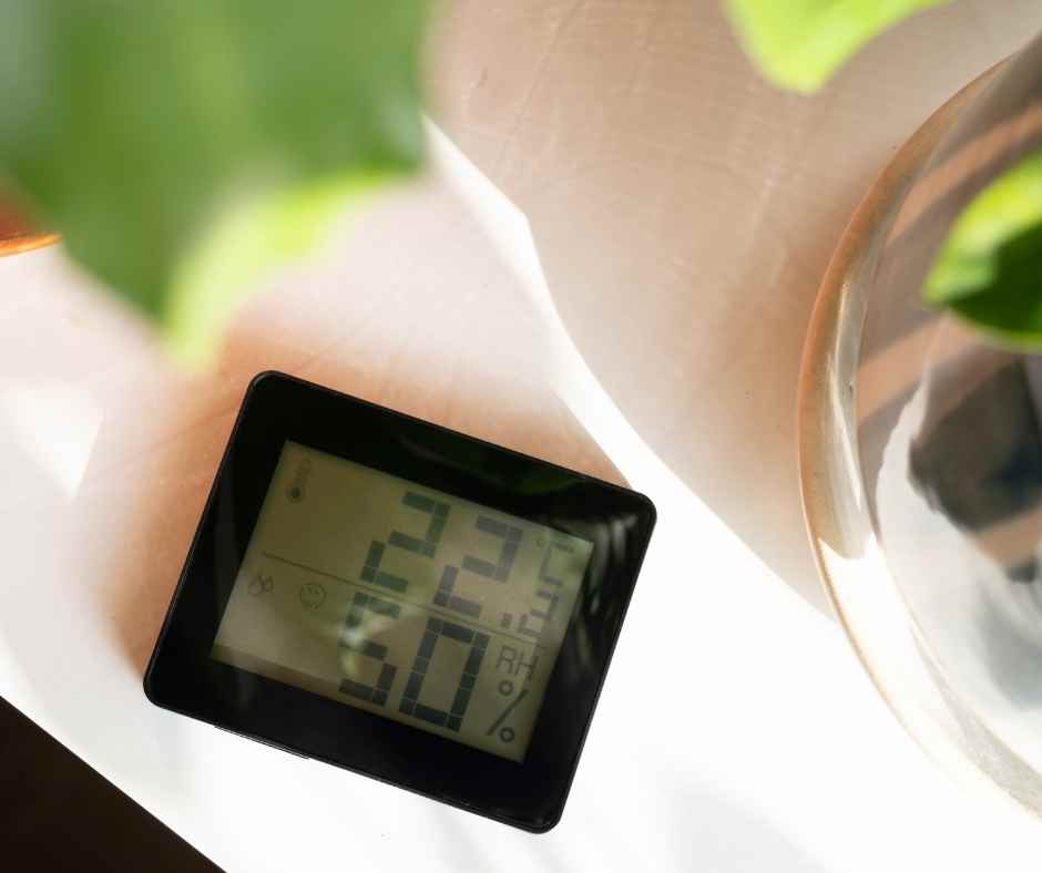 humidity levels and temperature on a table next to plants